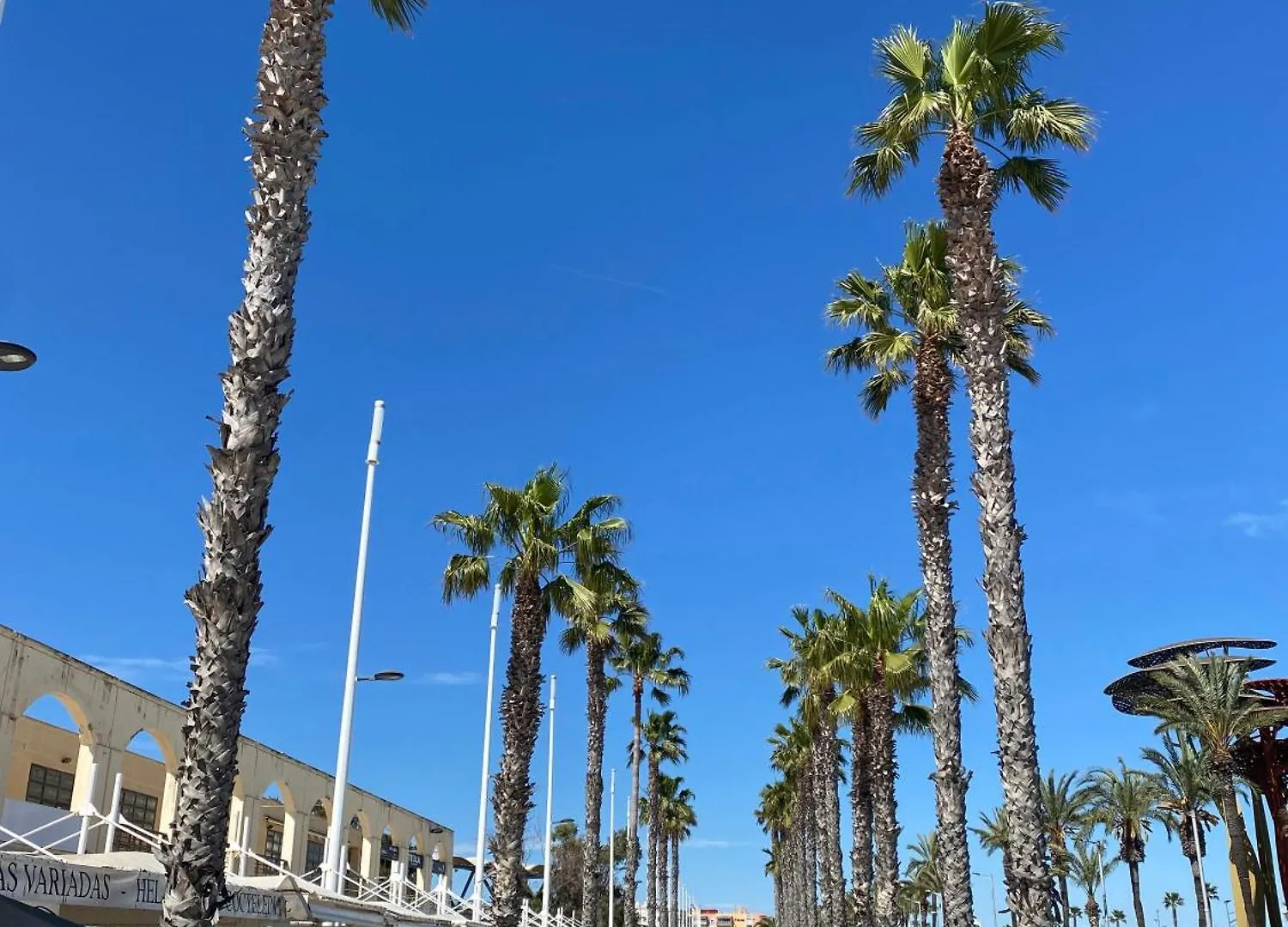 Apartment 424 Next To The Beach In The Sun, Dmsii Building. لا بينيذا